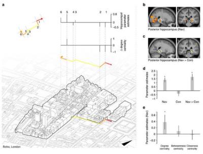 تشغيل الـ"GPS" يعطل مساحة من دماغ الإنسان