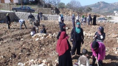 زراعة أشجار تحمل أسماء شهداء الأردن وفلسطين