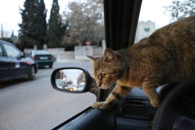 ندير الداوود - روح طالعة