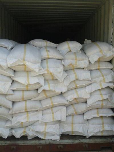 ضبط أكبر كمية من الكوكائين - صور