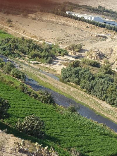 الاشغال : "اقامة جسر للمشاة على سيل "دوقرة" رهن بتوفر الارض الاشغال : "اقامة جسر للمشاة على سيل "دوقرة" رهن بتوفر الارض