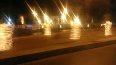 اشجار الرصيفة المضيئة تثير تساؤلات حول الاولويات!