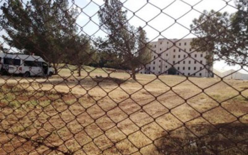 السايبر ستي، قصة لجوء 