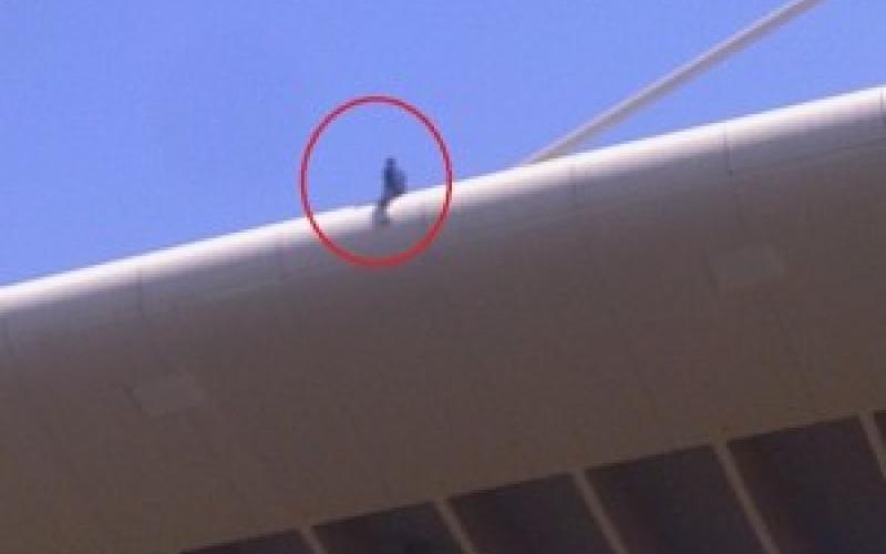 الإنتحار ..المشهد الذي بات مألوفا