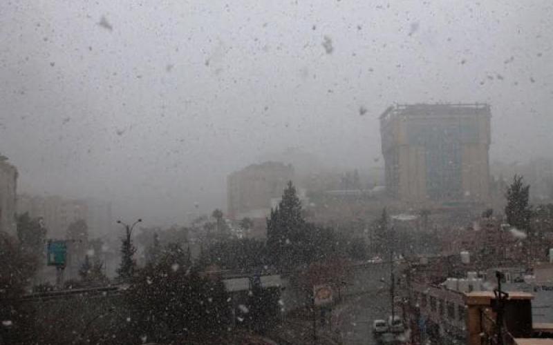 الزائر الأبيض في عمان