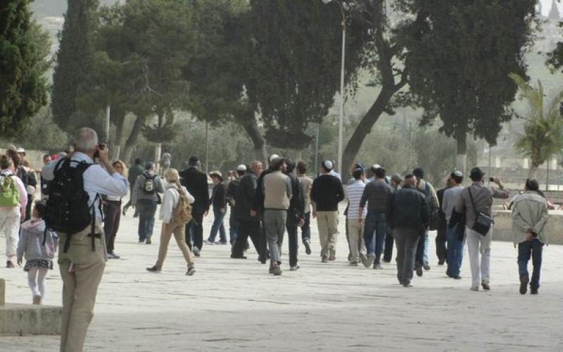 مستوطنون متطرفون يقتحمون الأقصى وسط حالة من التوتر