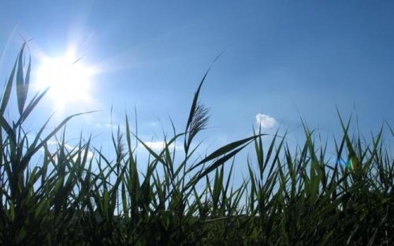 طقس خريفي اليوم واحتمال سقوط الامطار