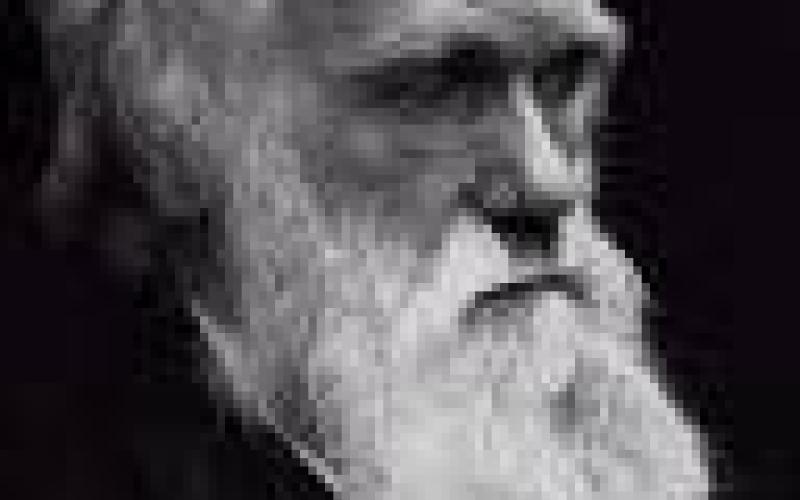 داروين في الجامعة الأردنية: أين المشكلة؟