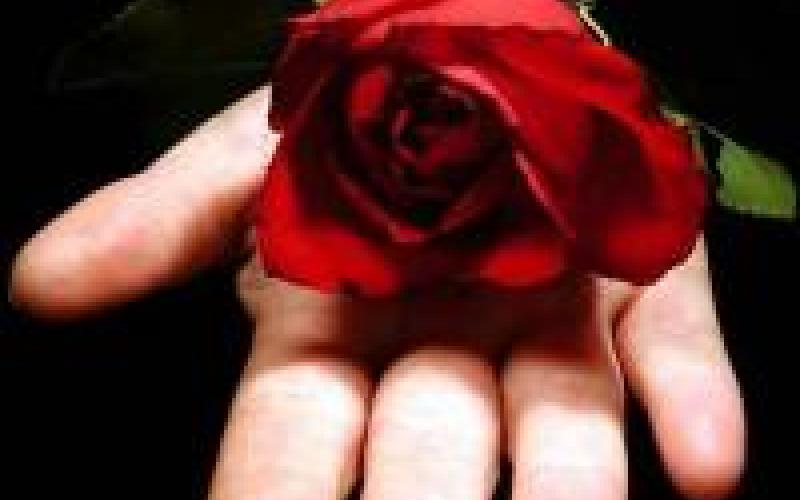 ناغور مستشارة في وزارة التنمية الاجتماعية