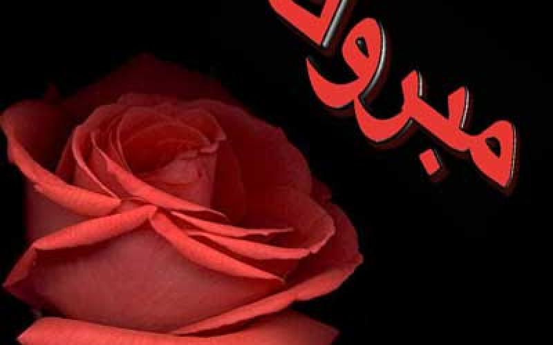 سامر جوابره نقيباً لتجارالمواد الغذائية