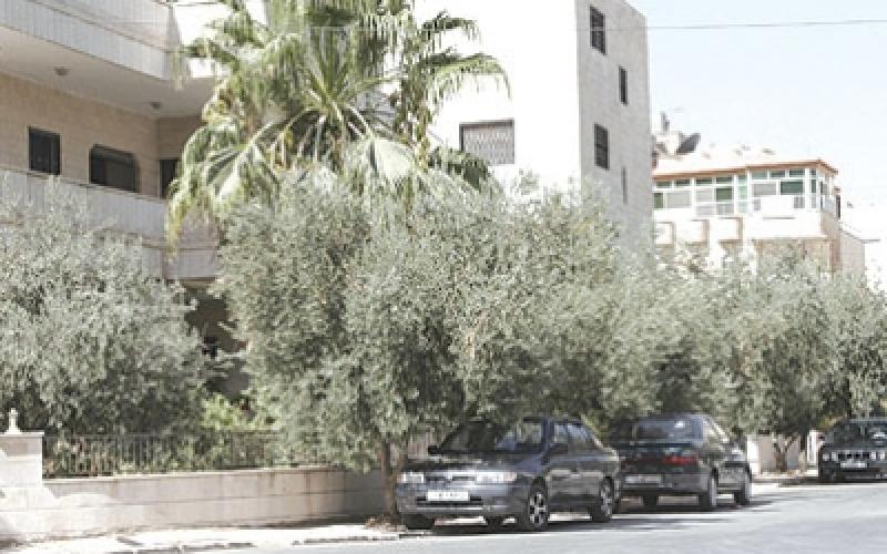 الأضخم بتاريخها..الأمانة تحيل مشروع خلطات إسفلتية بـ12 مليون دينار 