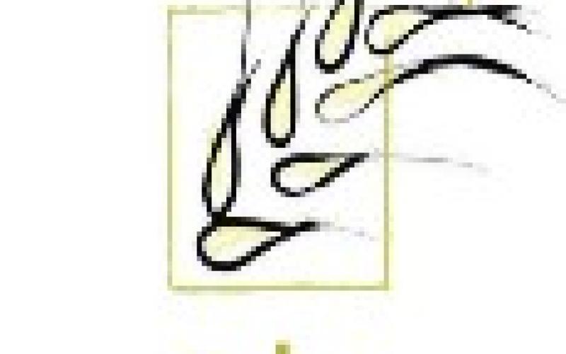 السرحان مستشارا إعلاميا في التنمية والتشغيل