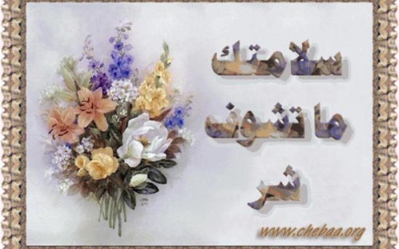 القاضي الملكاوي يباشر عمله 