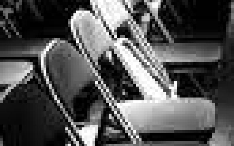 لله درك يا كرش