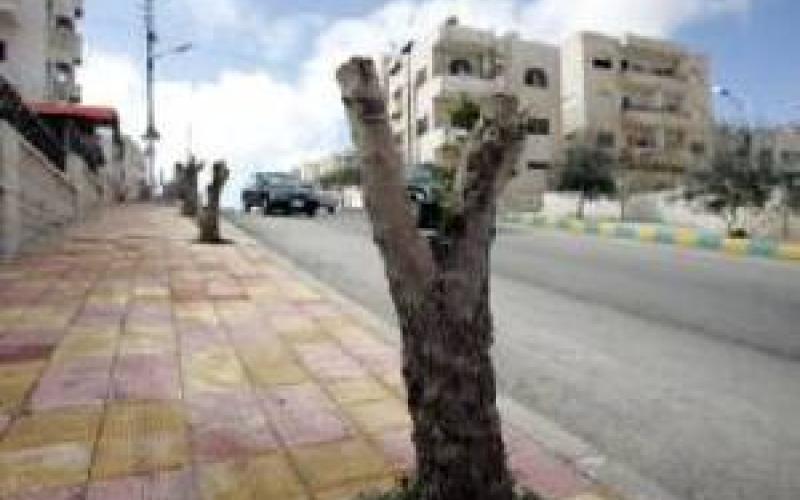 الاعتداء على الأرصفة يزداد والمشاة يهجرونها إلى الشارع (فيديو)