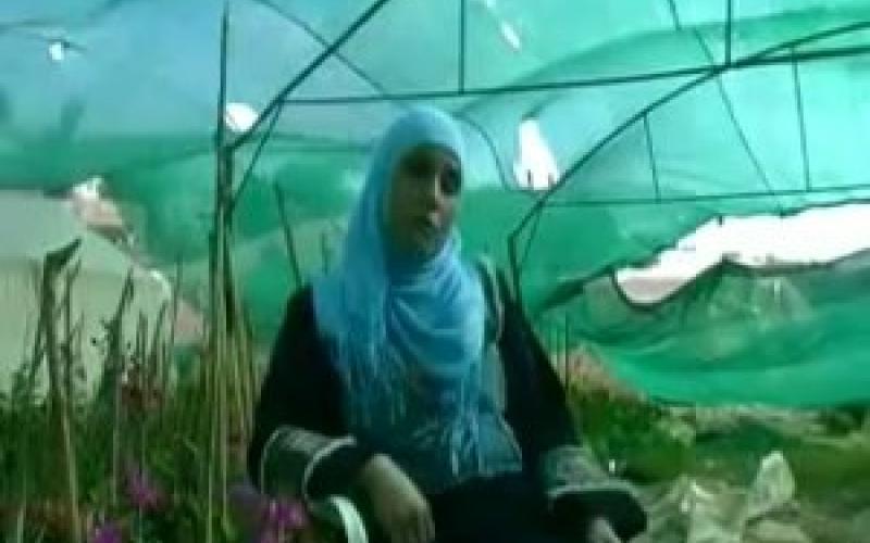 نوال البلاونة تكسر حاجز العادات والتقاليد في دير علا ..فيديو