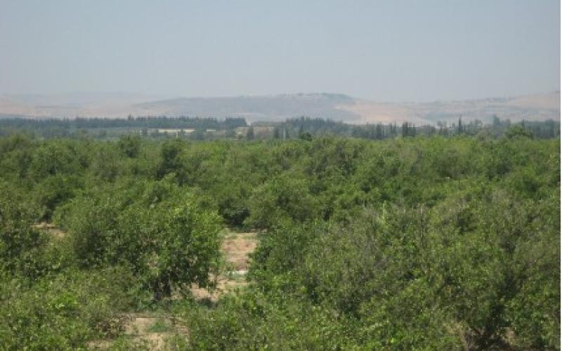 انتزاع أراض من متنفذ بعد 3 سنوات