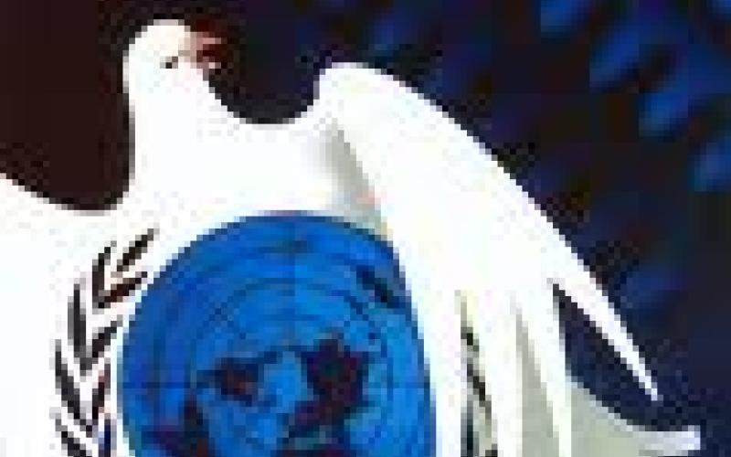 مطلوب إسناد عربي شعبي لشجعان حركة السلام العالمية