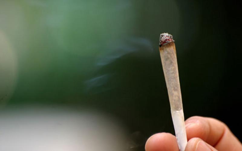 دعوة " لجلسة تحشيش مع الحكومة"