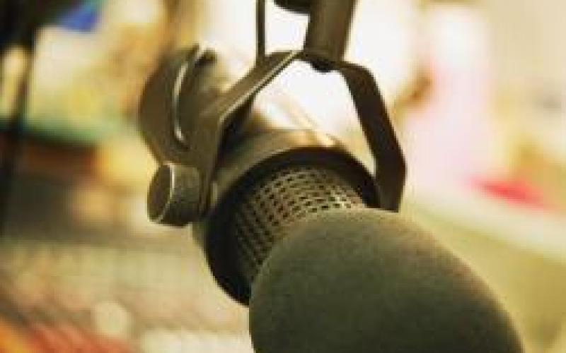 د.محادين مديرا لصوت الكرك