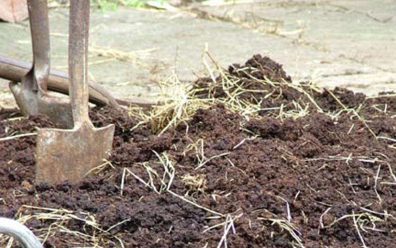 مزارعون يجددون مطالبهم باستخدام السماد البلدي