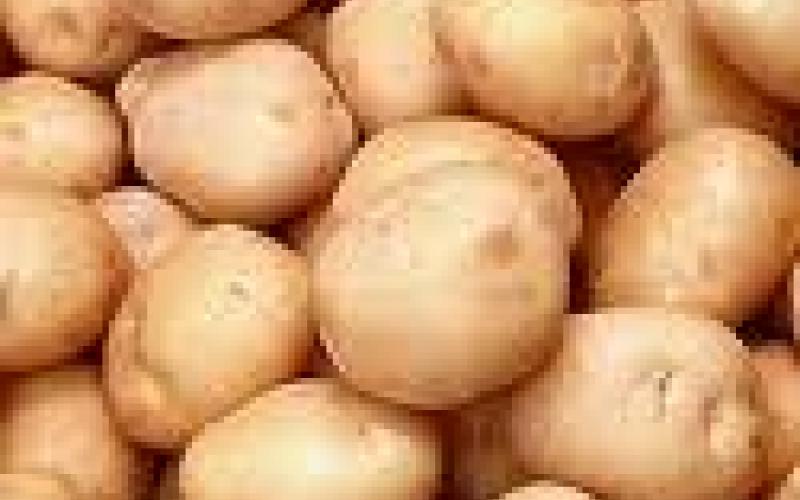 المصري:لن نغلق أسواقنا المحلية أمام المنتجات السعودية 