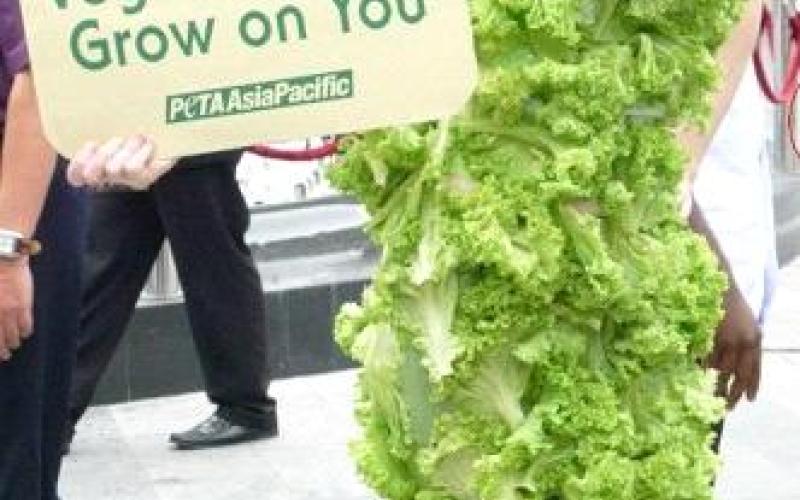 سيدة عارية إلا من أوراق (الخس) تطوف شارع الرينبو 