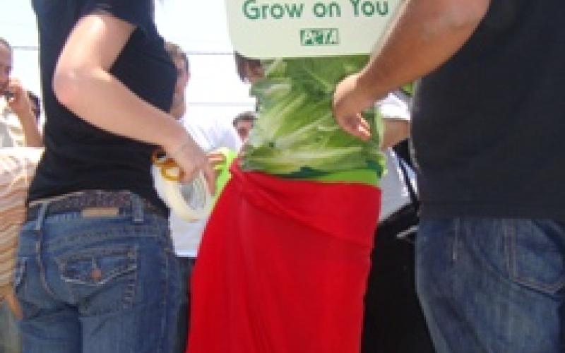 الافراج عن سيدة الخس "صور"