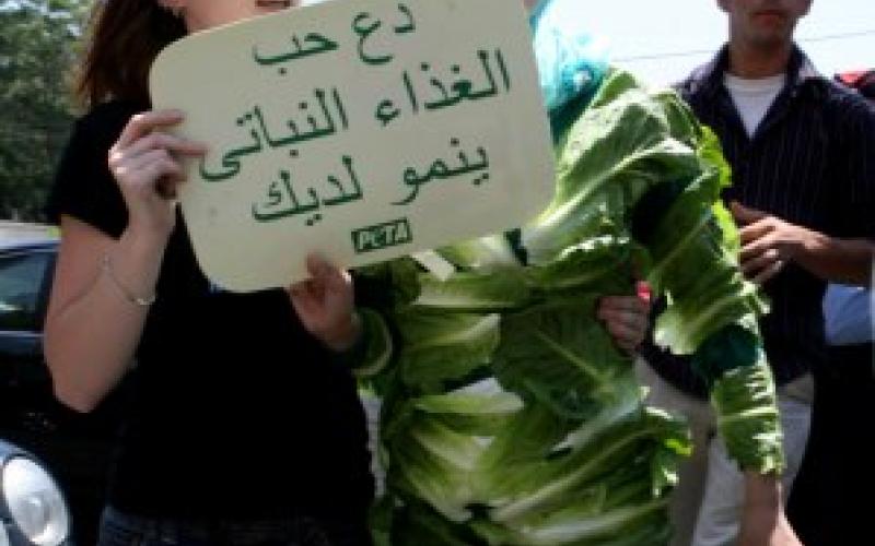 Lettuce Lady released after few hours in detention