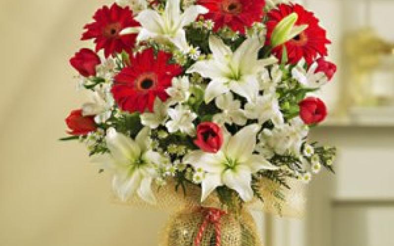 سلامات لفايز السعودي 