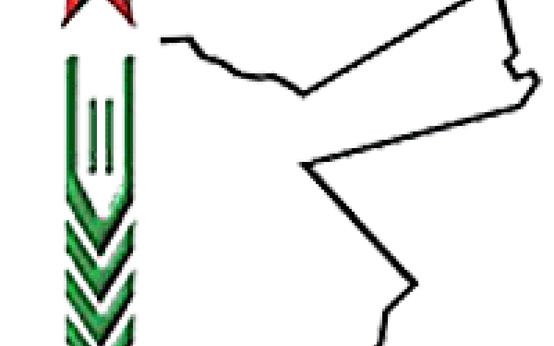 انتخاب الهيئات التنظيمية لحشد