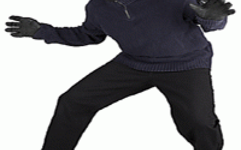 القبض على شخصين قاما بارتكاب 12 سرقة 