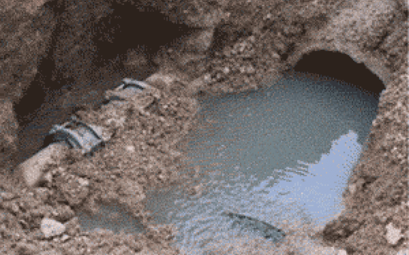 الحفر الامتصاصية في "الكريمة" تهدد البشر والحجر ..فيديو