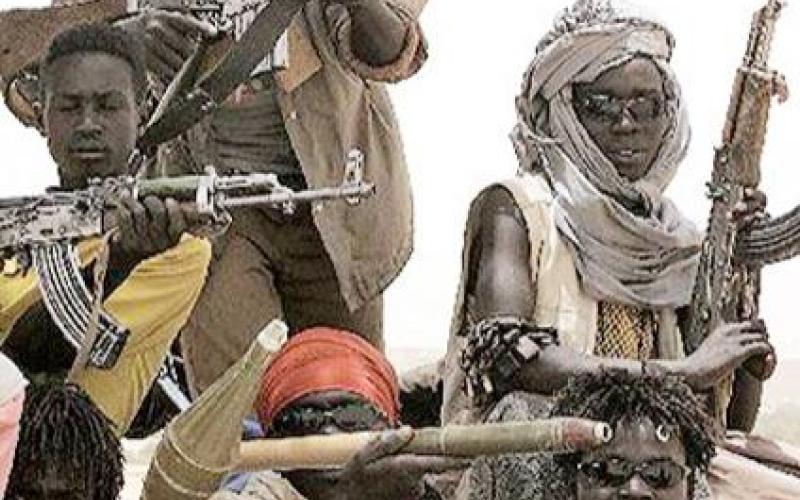 اختطاف ضابطين من ضباط الامن العام خلال مهمة للامم المتحدة في دارفور