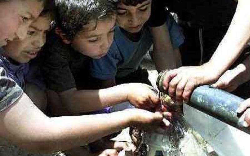 تواصل الاحتجاجات على انقطاع المياه