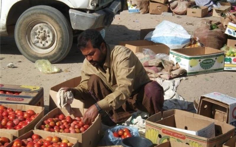 حقوق العمالة الوافدة عرضة للانتهاك في وادي الاردن..فيديو