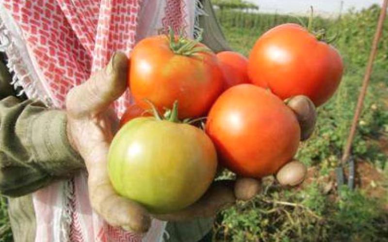 الزيود يستهجن اهانة مزارعي الاغوار