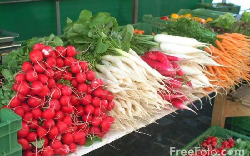 جمعية مصدري الخضار تطالب بشراء الخضار مباشرة من المزارع