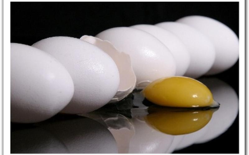 73.9 مليون بيضة في الاردن