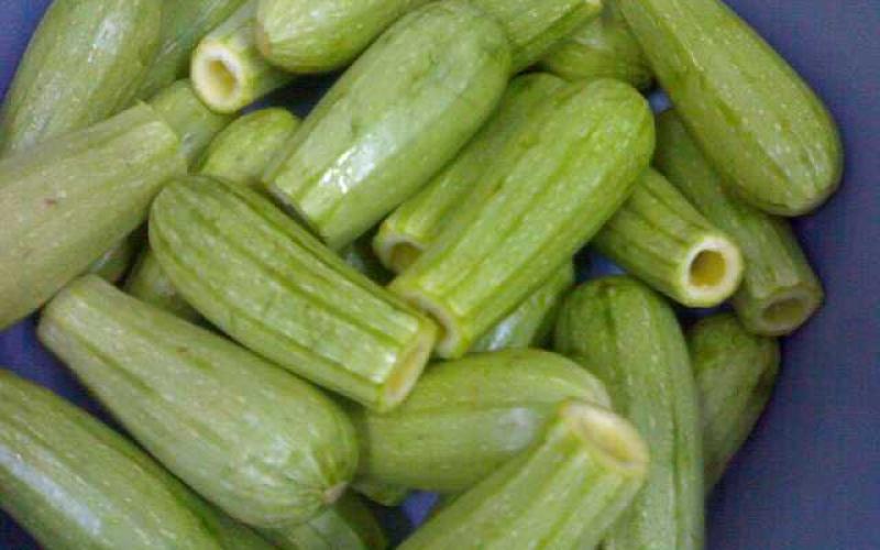 الكوسا ترتفع بنسبة 51.4 % 