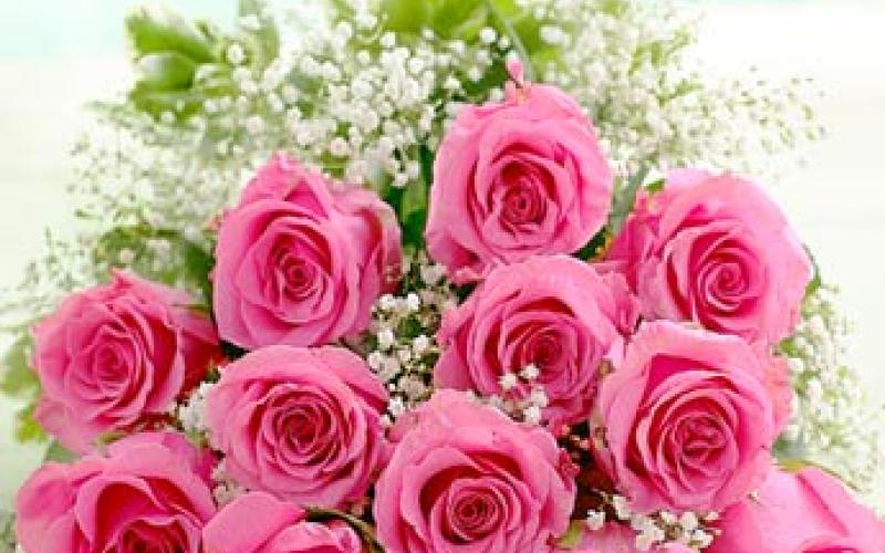 مبارك للدكتور زياد الكردي