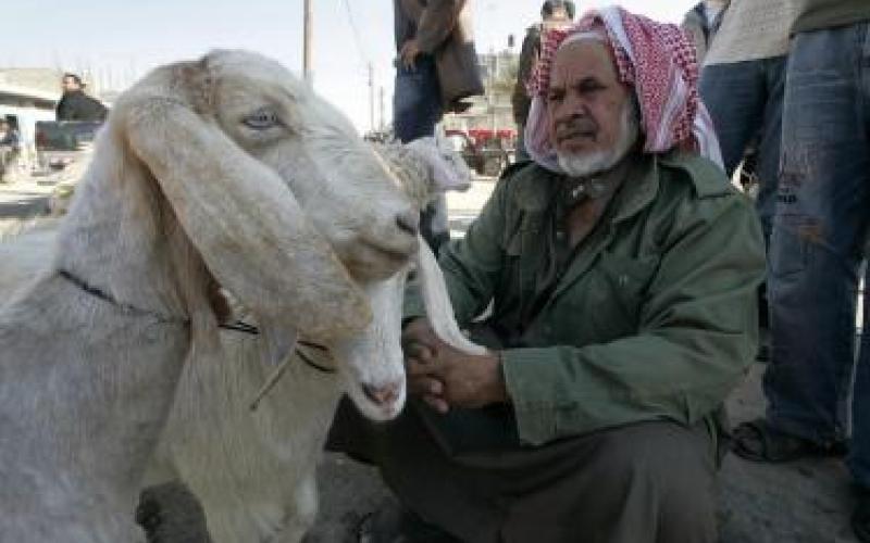 الصناعة والتجارة : لا عودة عن قرار رفع أسعار مادة الشعير