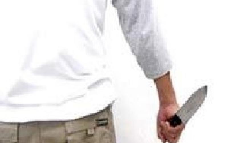 الحكم بالإعدام للمرة الثانية على سيدة قتلت حماتها وابنتها وقطعتهما