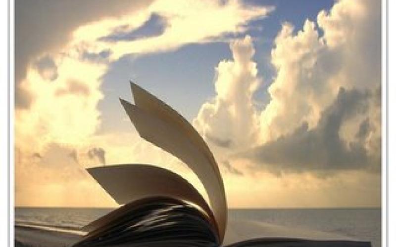 كتابة جديدة: قراءات سردية 