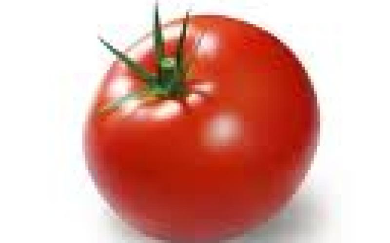 و العود أحمر ؛ أحمر ..!!