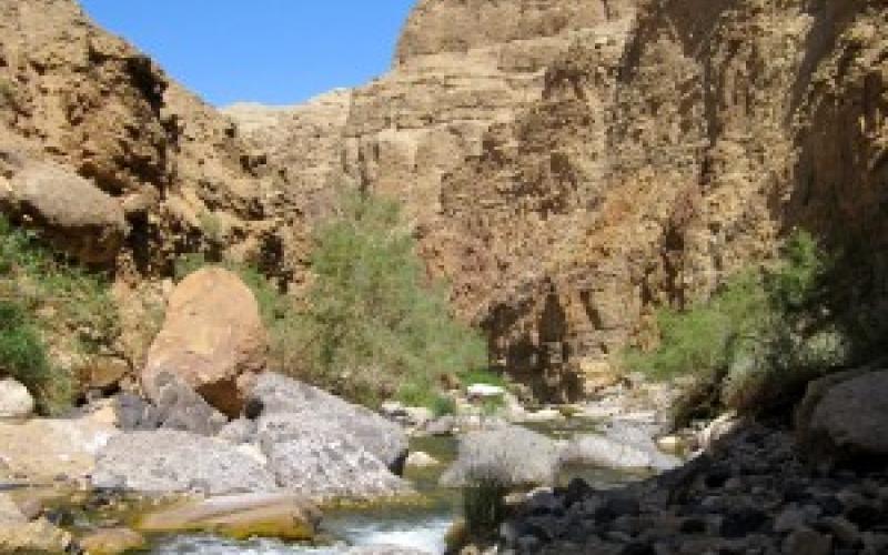 Sustainability and Youth Are The Way Forward