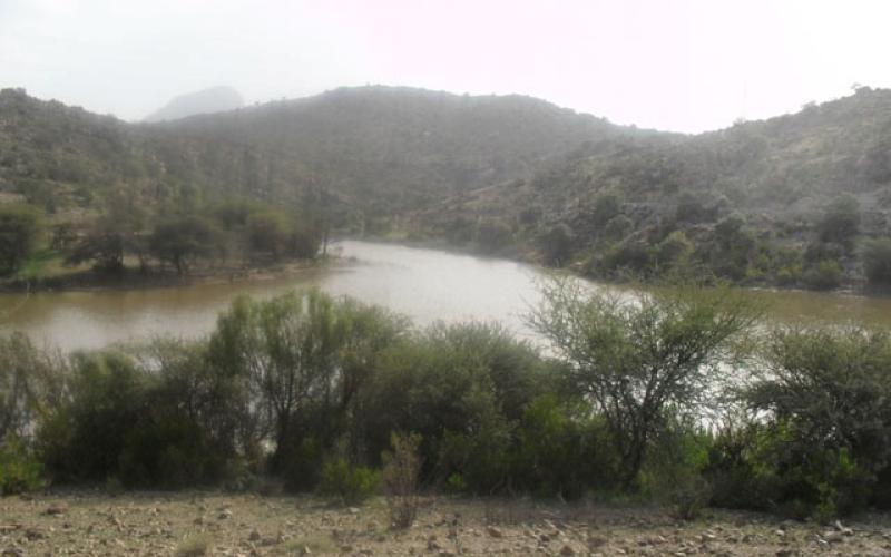 مواطنون يشكون من ملوحة مياه الكرامة..والضخ تجريبي