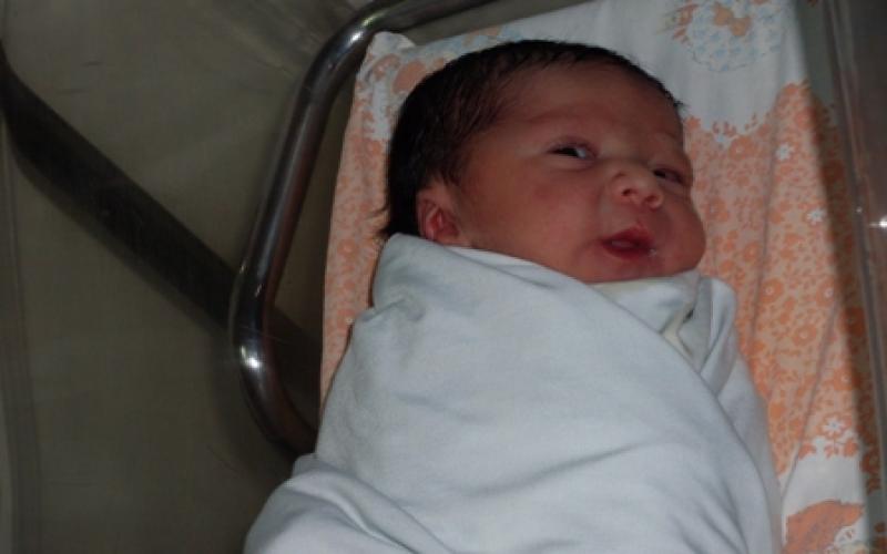 الزميل حتر يرزق بـ"جوزيف"