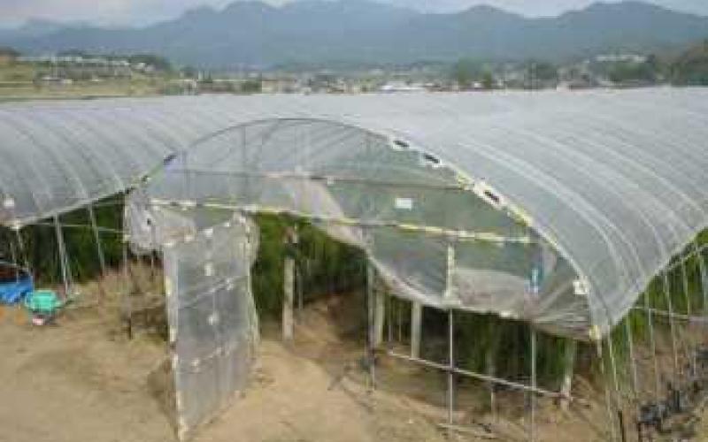 رفع أسعار المحروقات وآثاره على القطاع الزراعي