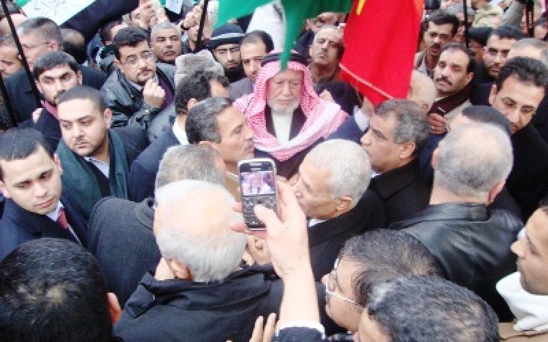 Mansour describes policies as pain killers